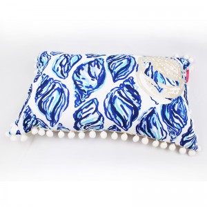 Tassel Double-Sided Printing Pillow