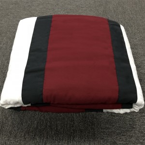 Stitching Printing Aviation Quilt