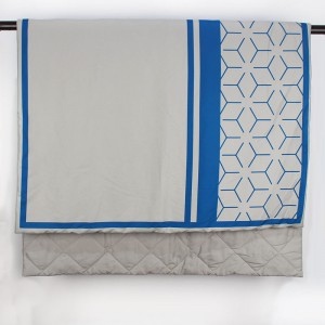 Pattern Stitching Printing Aviation/Travel Quilt