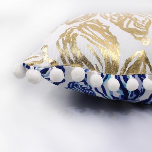 Tassel Double-Sided Printing Pillow