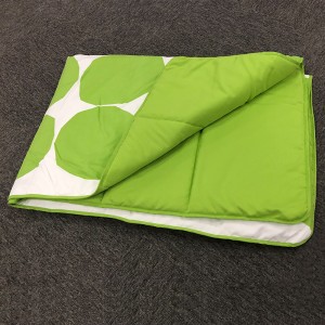 Aviation Printing Quilt